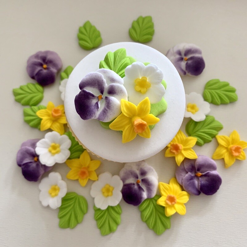 Pansy Daffodil Primrose Flowers