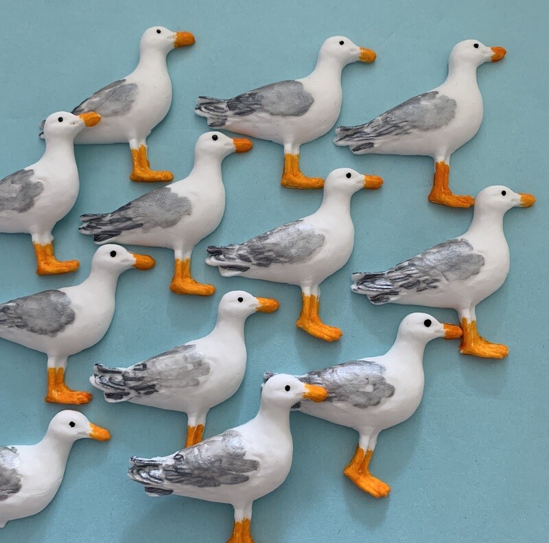 Seagull