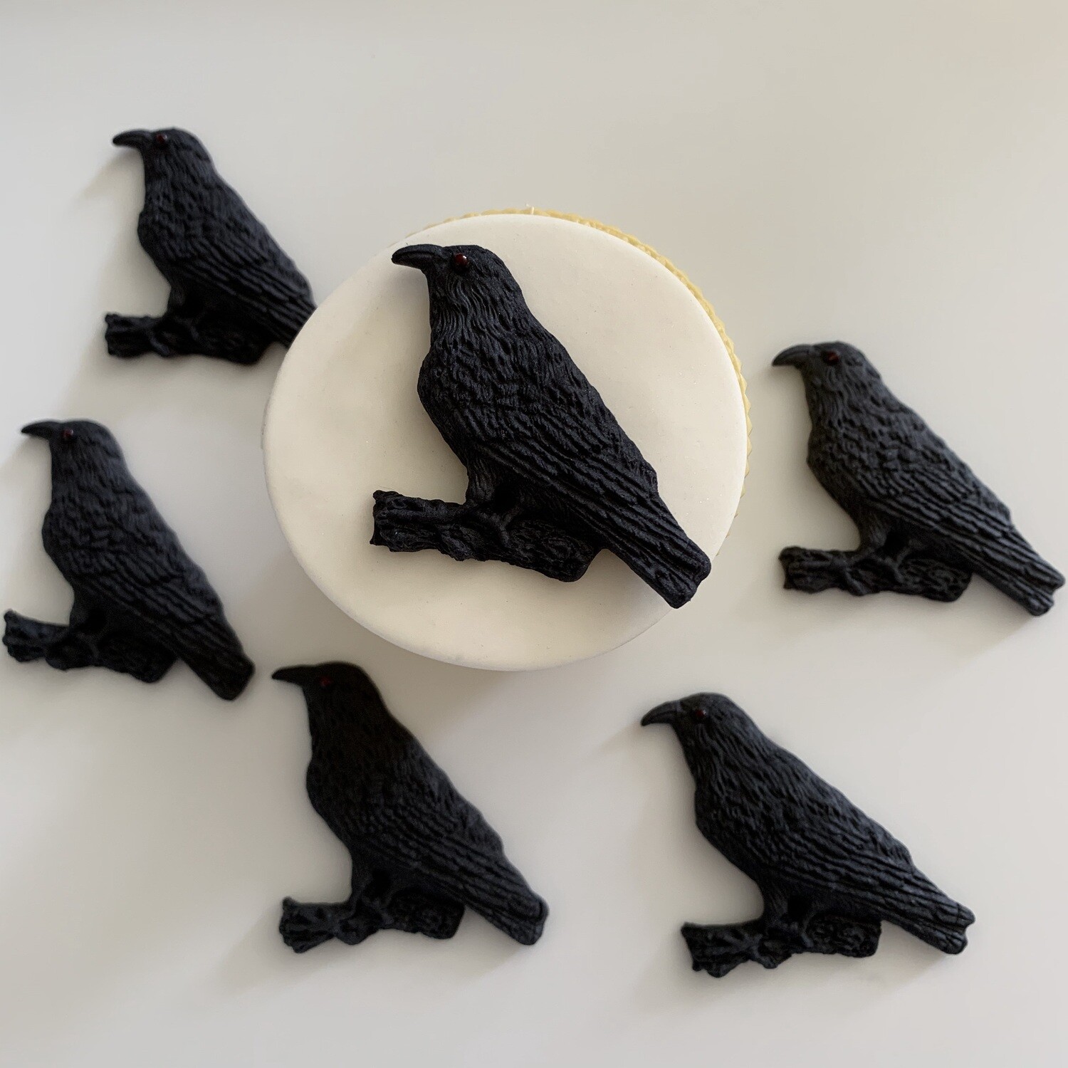 Crow Birds
