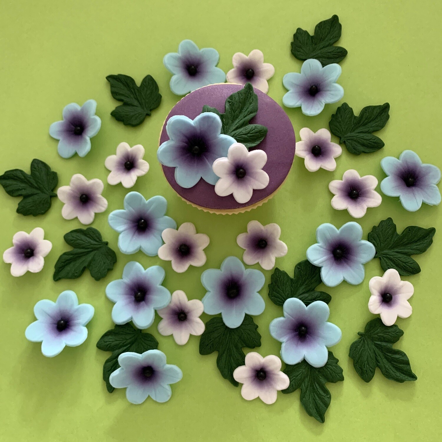 Summer Blue Flowers