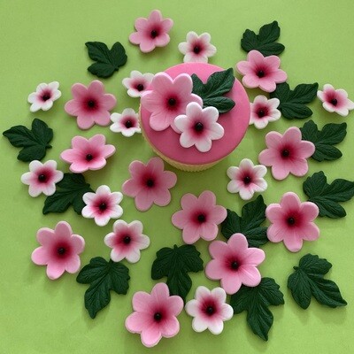 Summer Pink Flowers