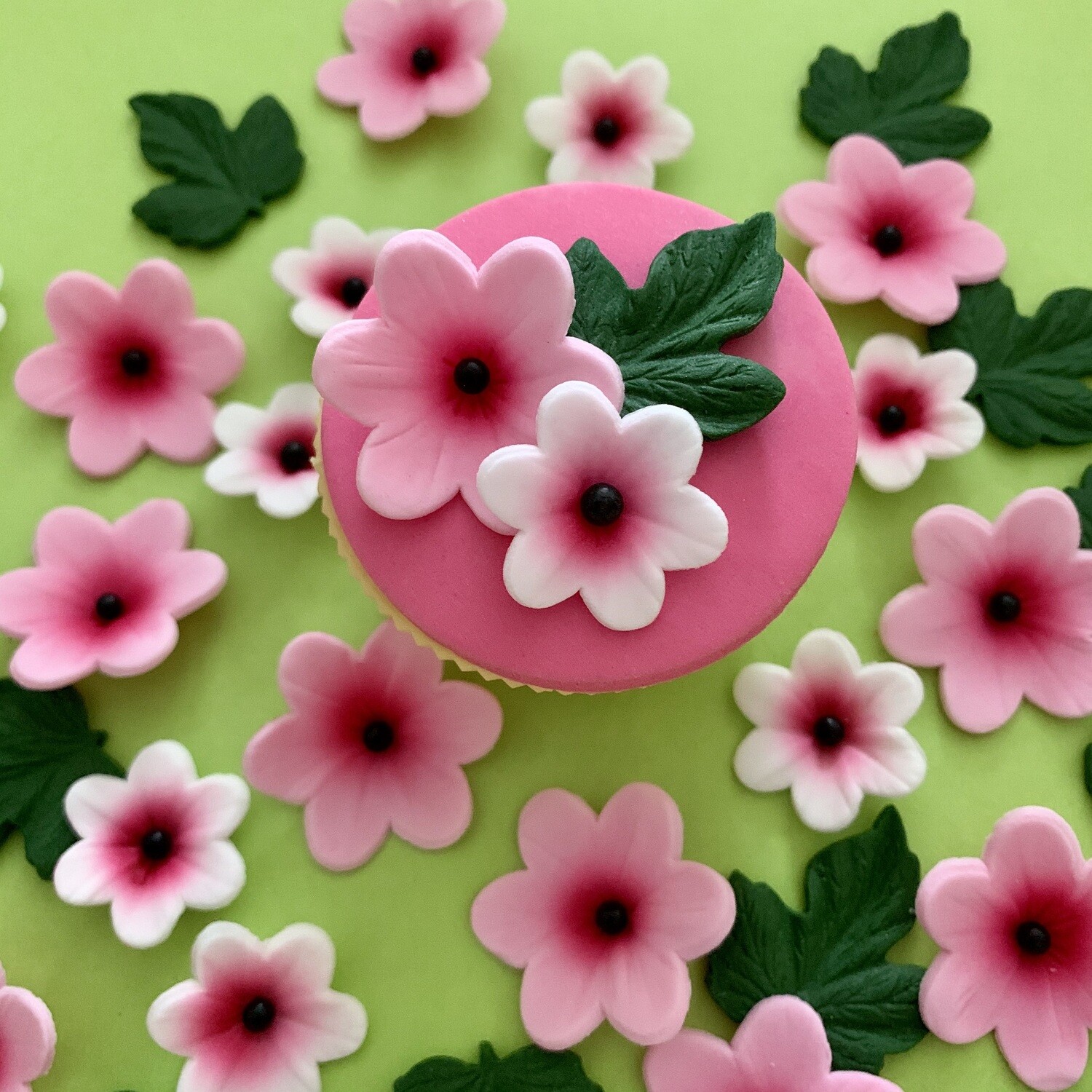 Summer Pink Flowers