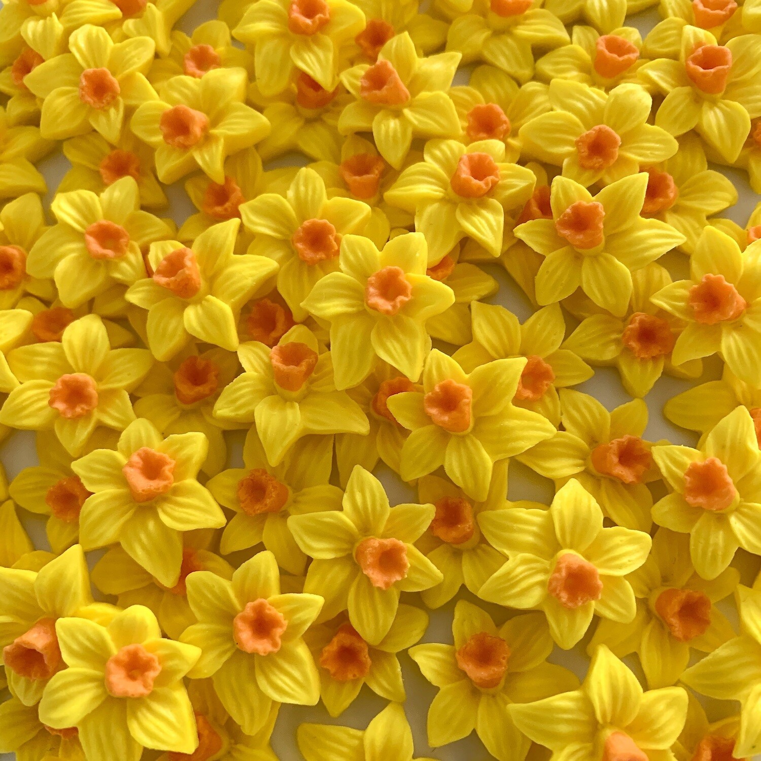 Yellow Daffodils