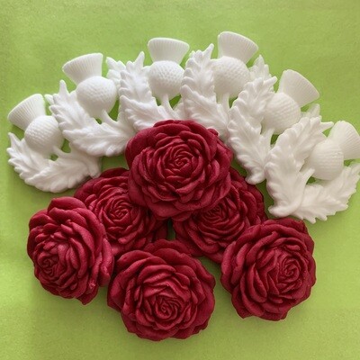 White Thistles Red Roses