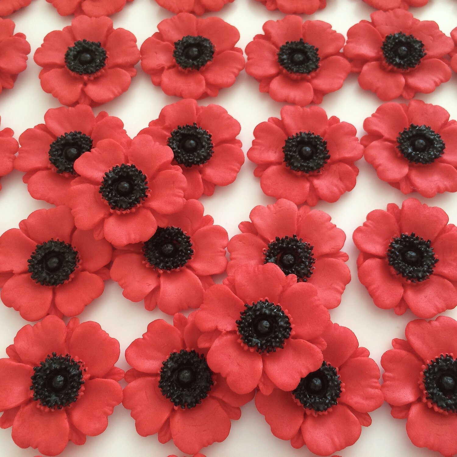 Red Poppies