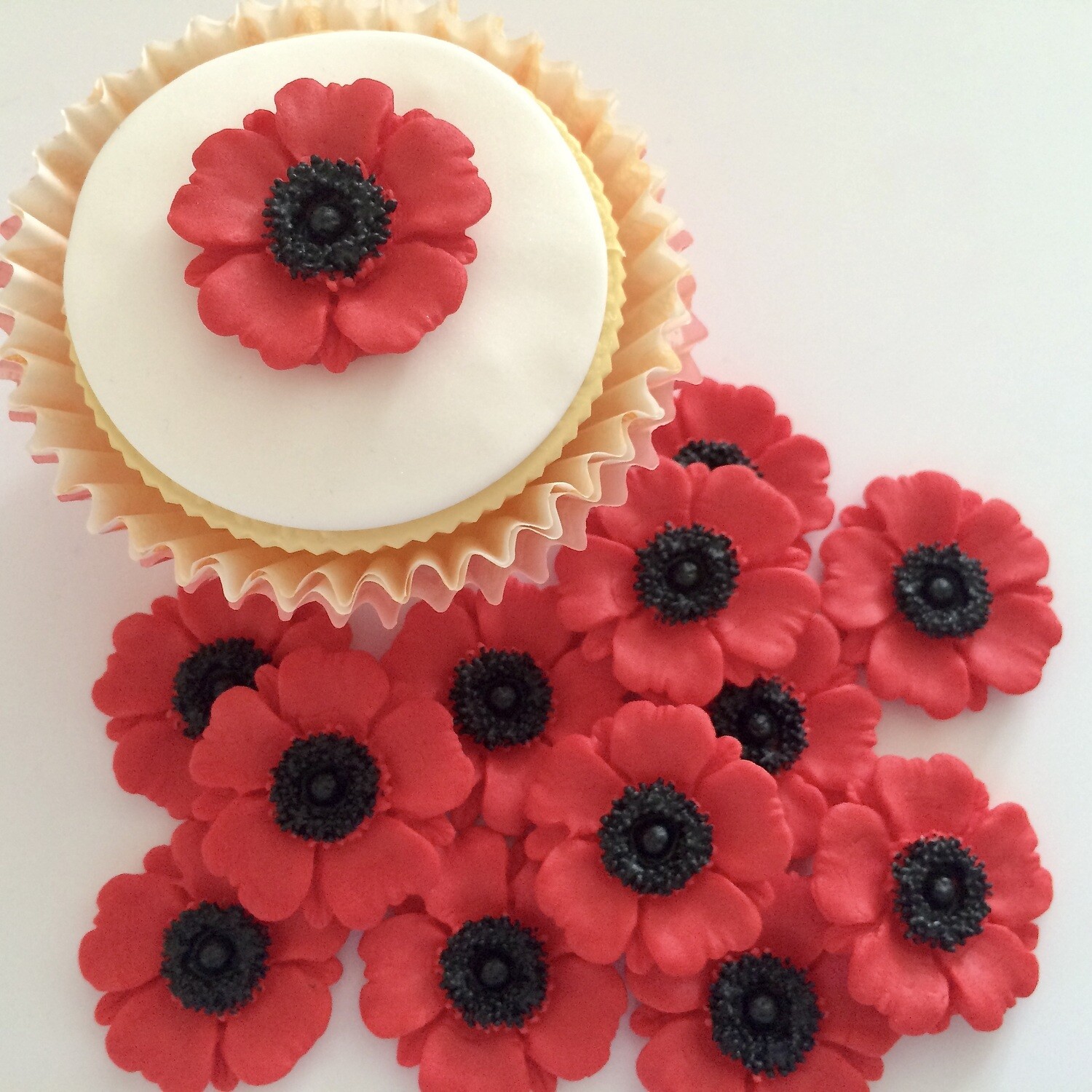 Red Poppies