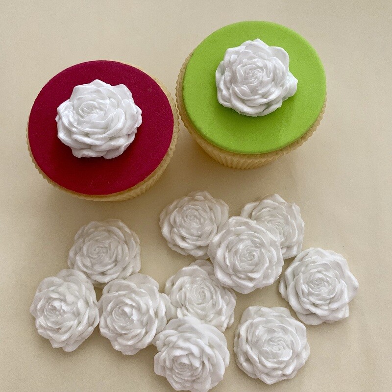 Pearly White Roses