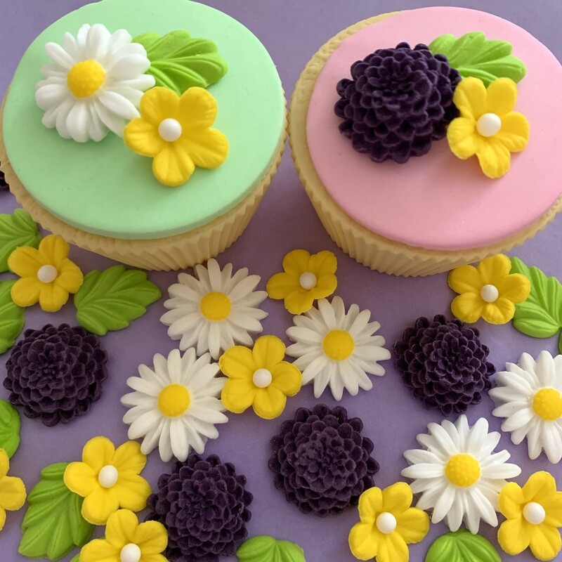 Daisy Medley