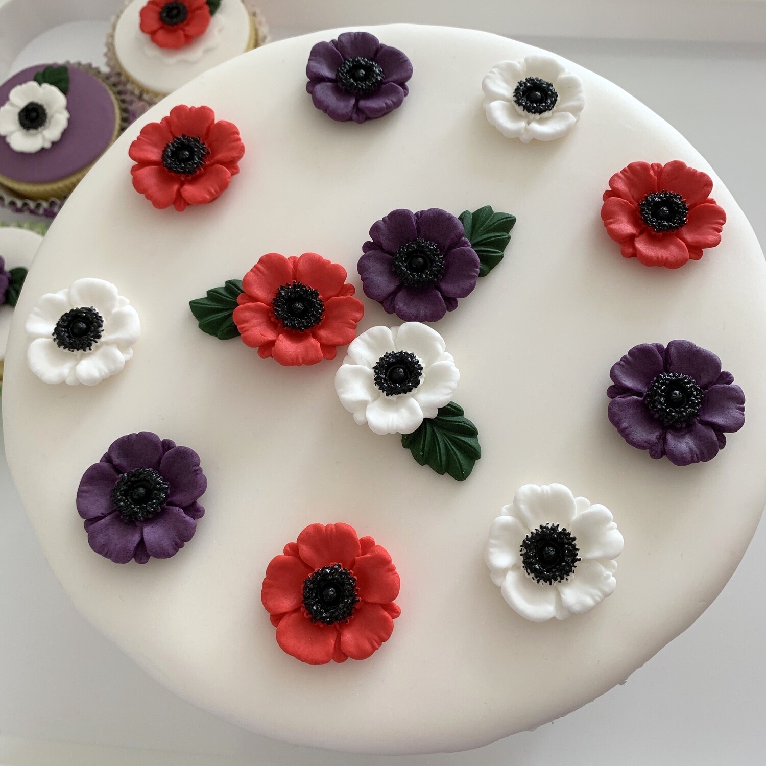 Mixed Poppies