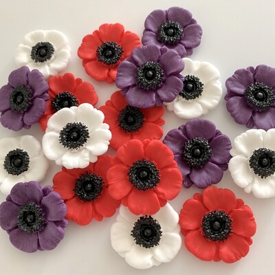 Mixed Poppies