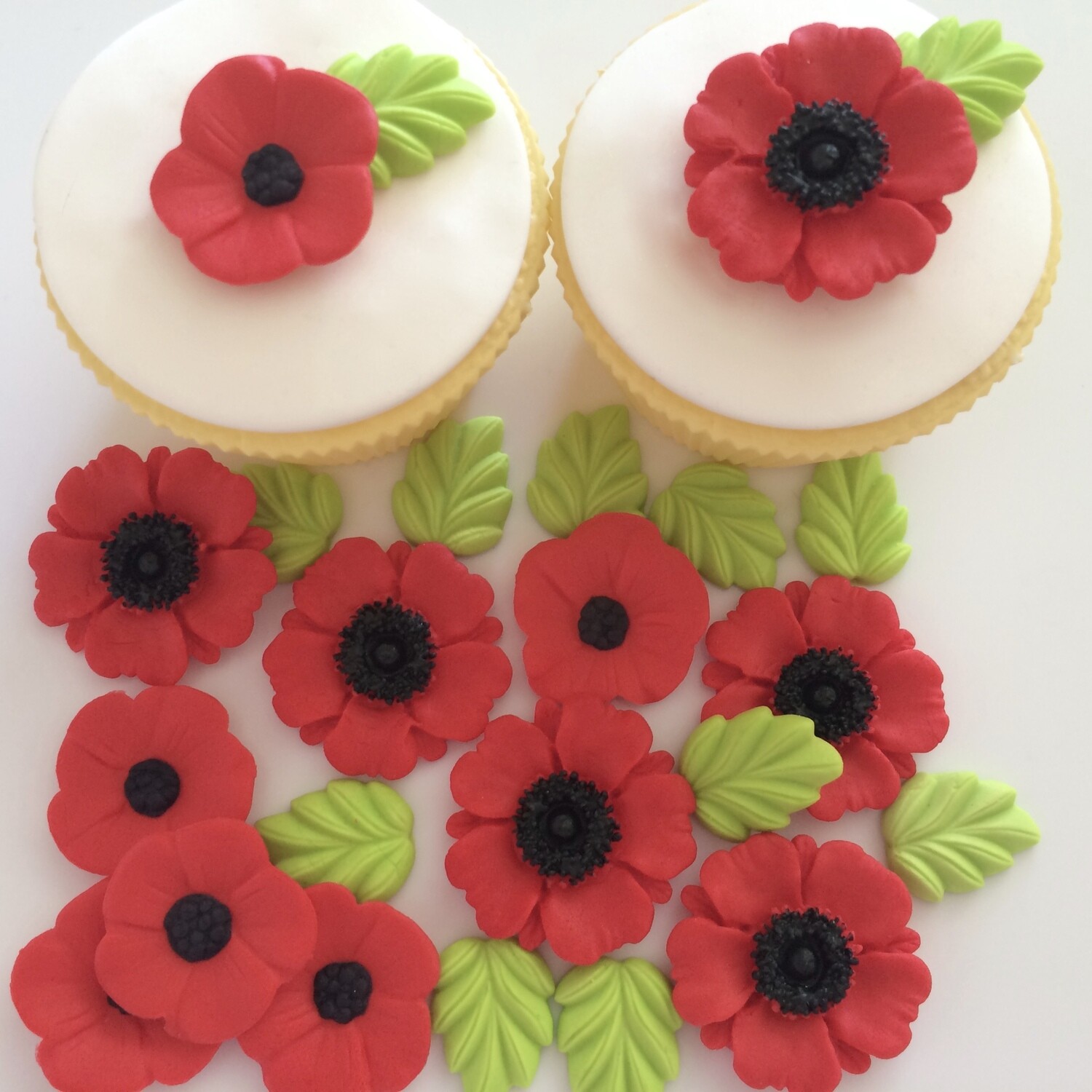 Red Poppies