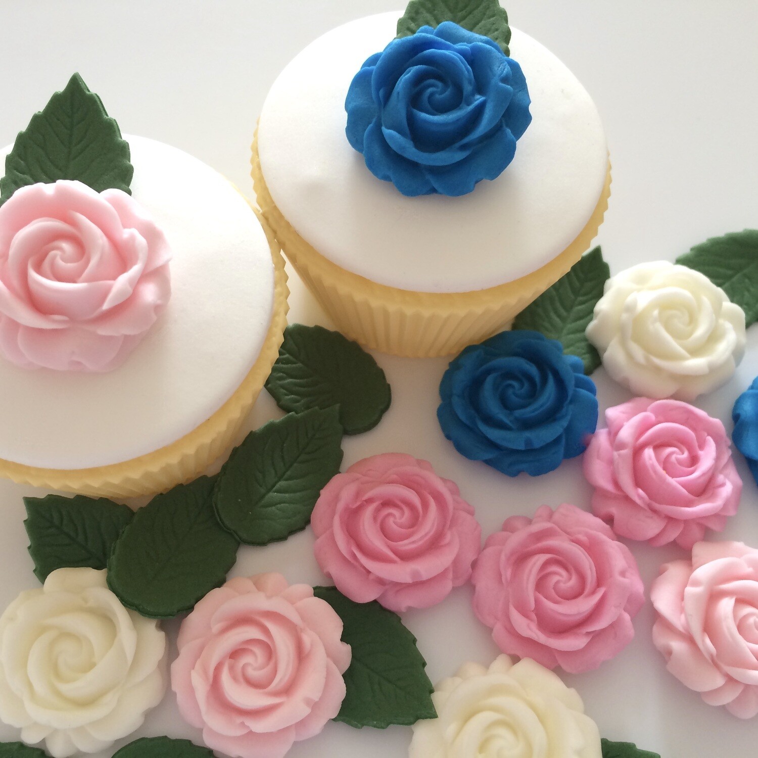 Blue Pink Cream Roses