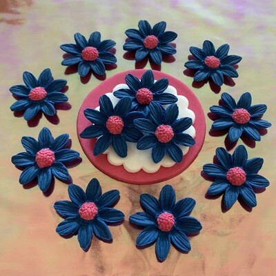 Royal Blue Marguerite Daisies