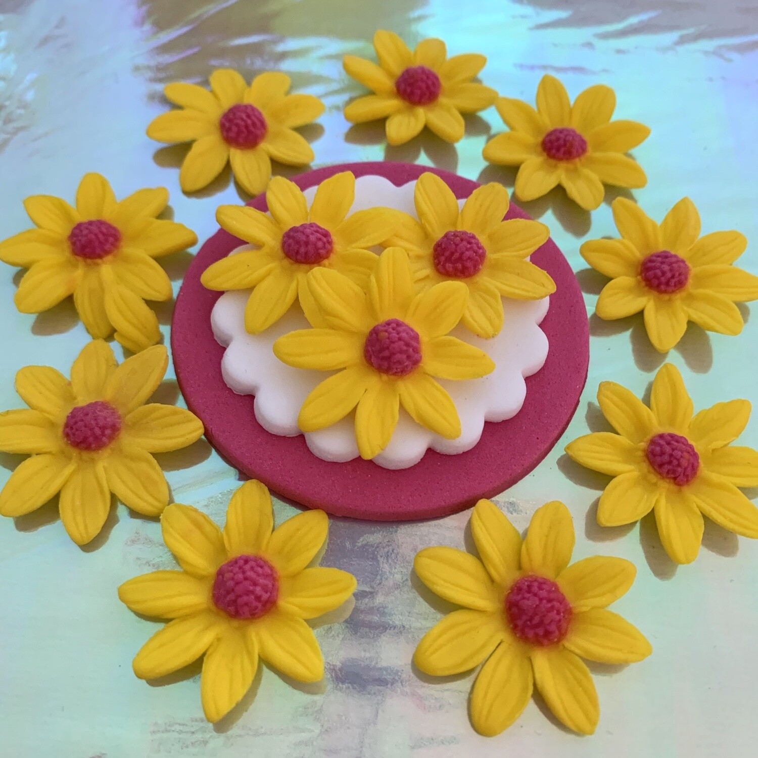 Yellow Marguerite Daisies