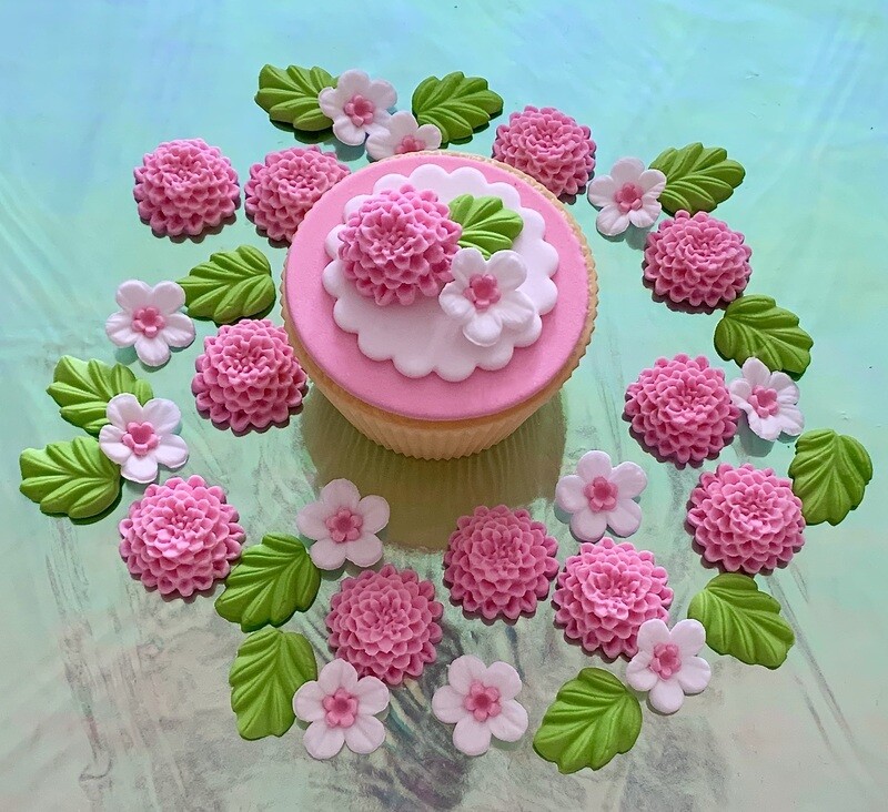 Candy Pink Chrysanthemums