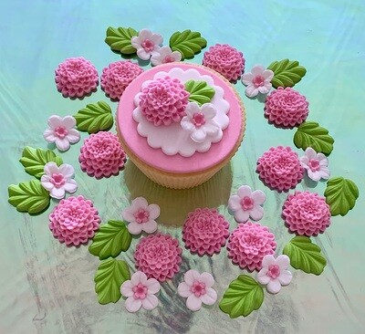 Candy Pink Chrysanthemums