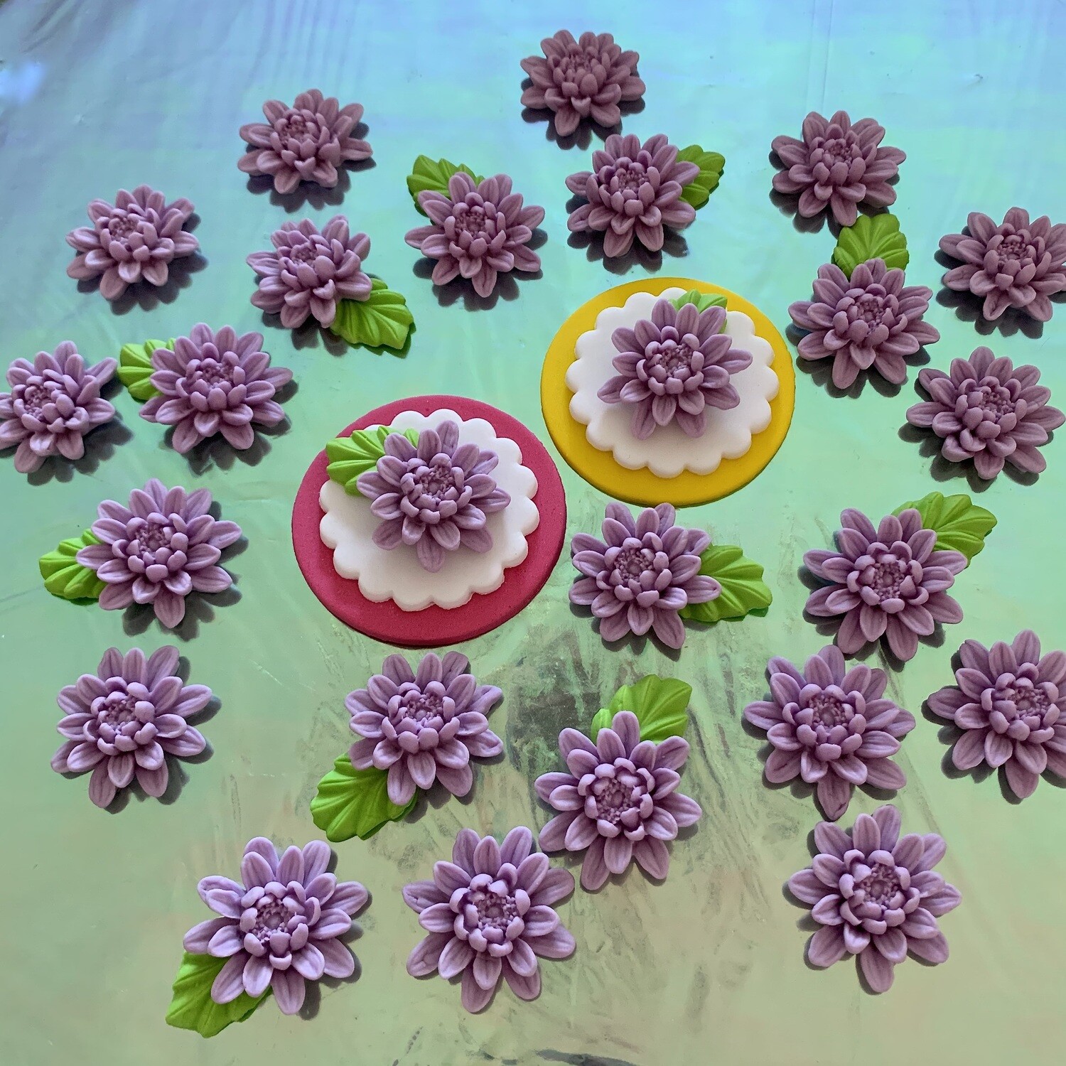 Dahlias