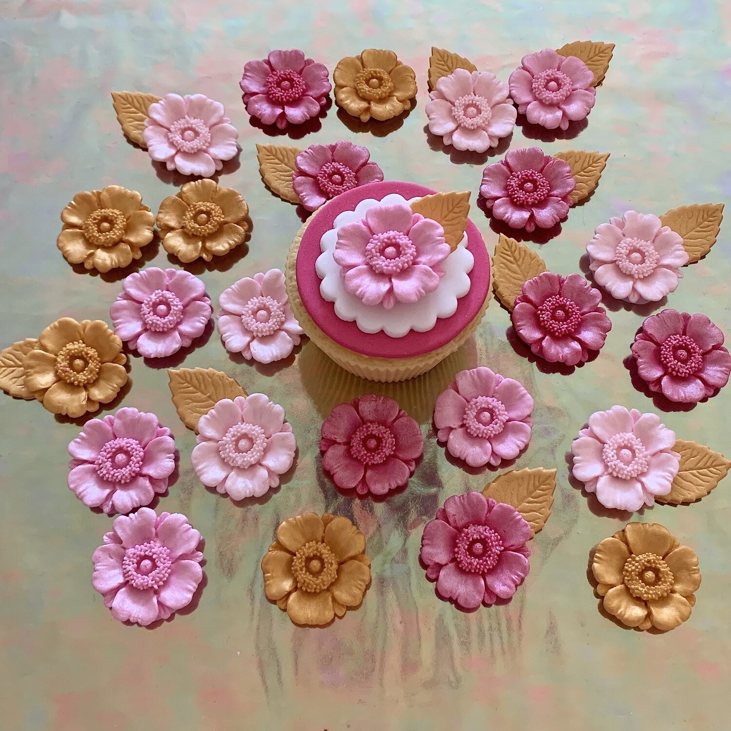 Pink Anemones