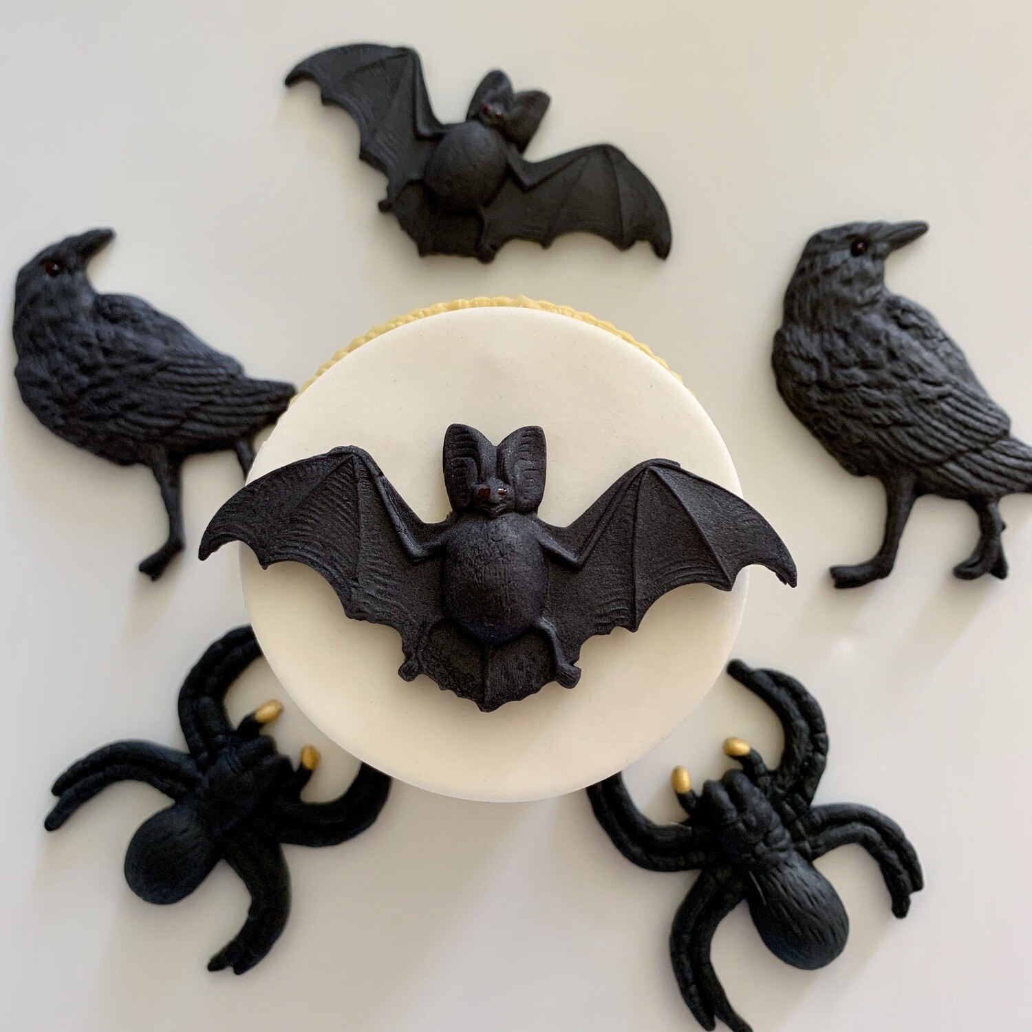 Bats Crows &amp; Spiders