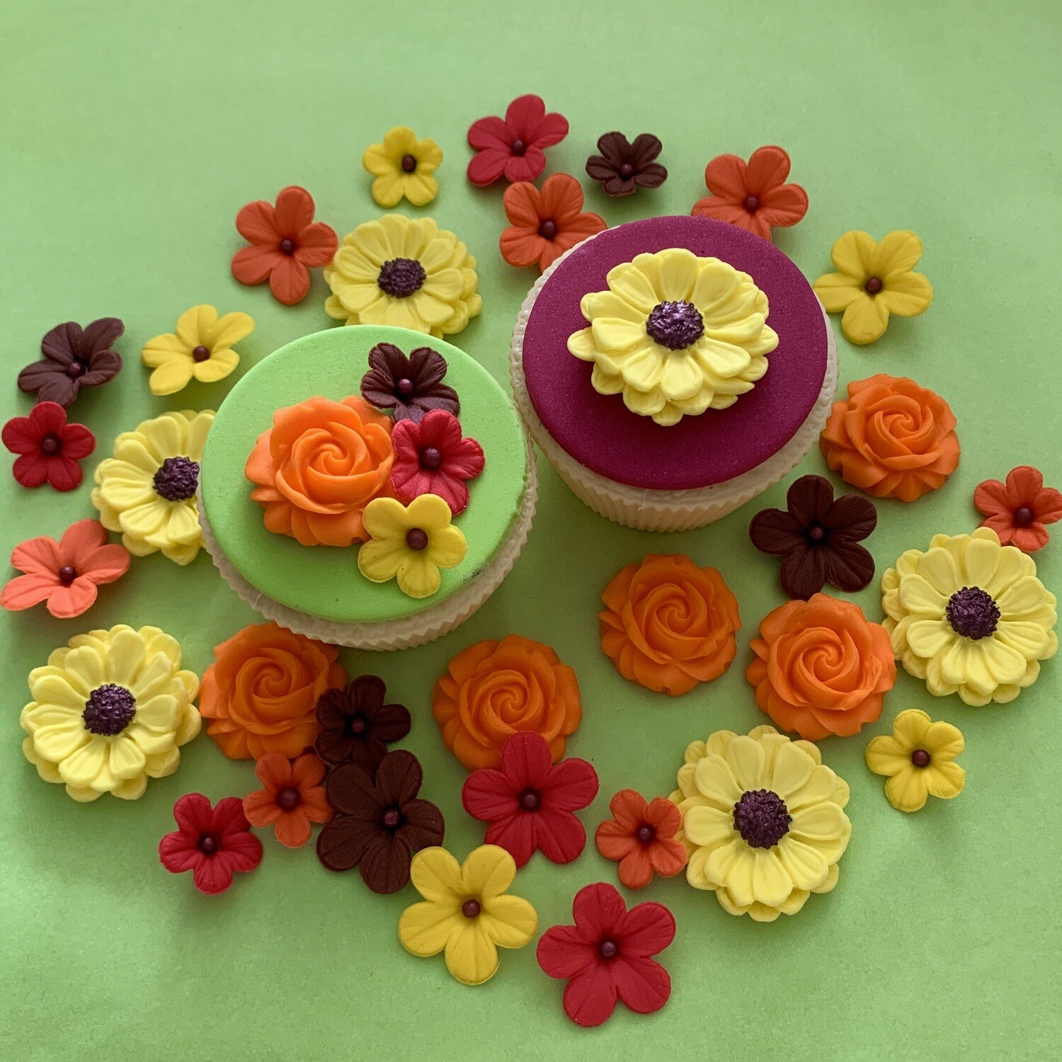 Autumn Flowers