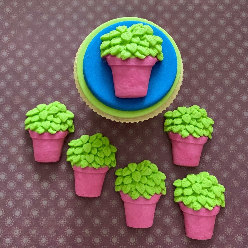 Plants In Pots