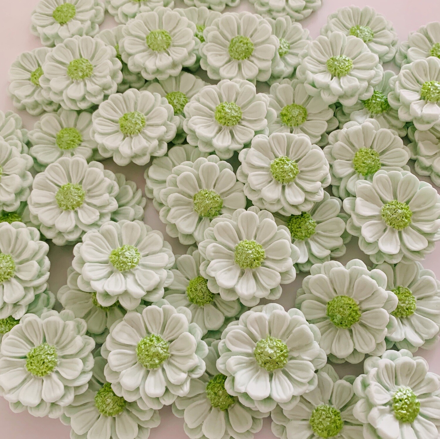 Daisy Flowers