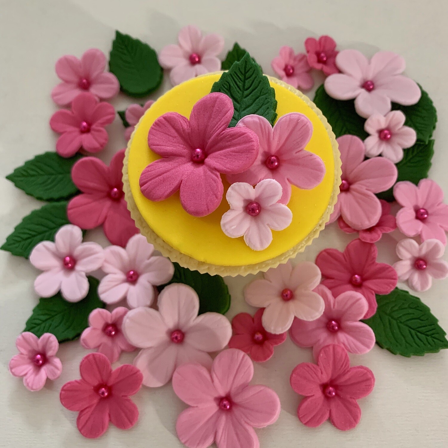 Pink Flowers