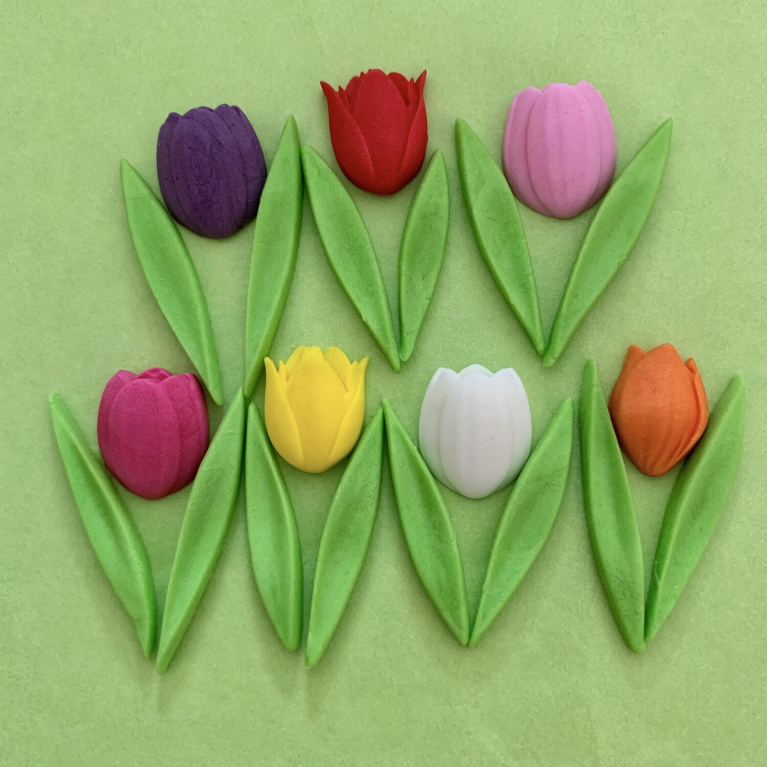 Tulips