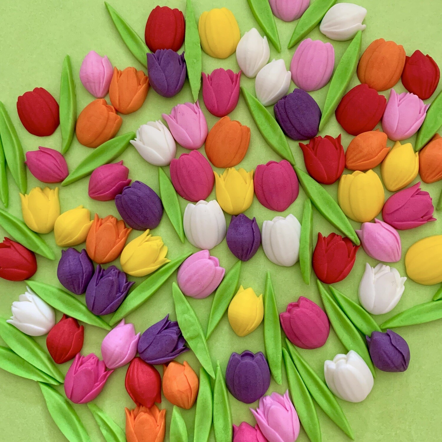 Tulips