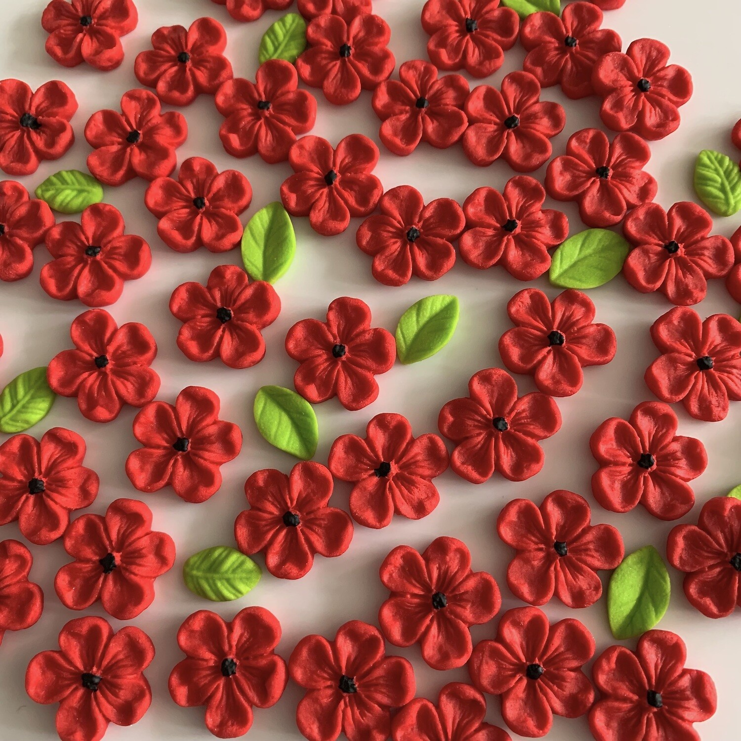 Red Poppy Blossoms