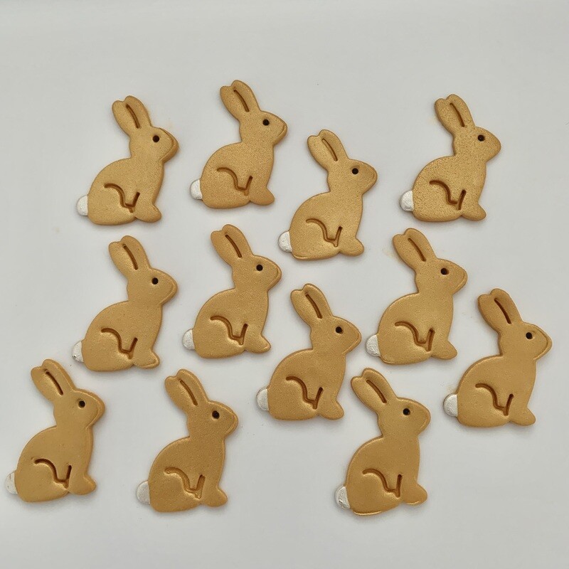 Golden Bunny Rabbits