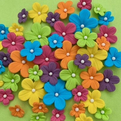 Bright Sugar Flowers Encanto Cakes