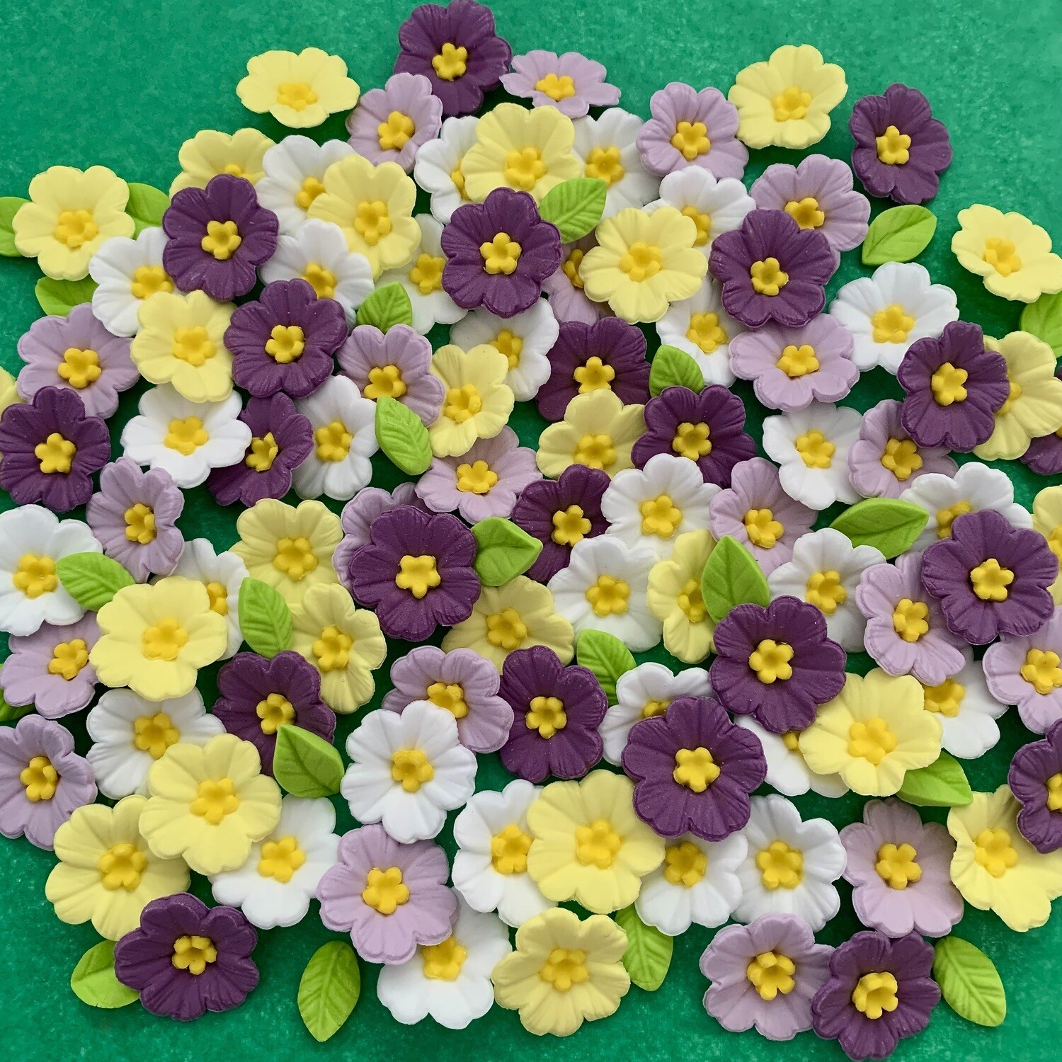 Spring Primroses