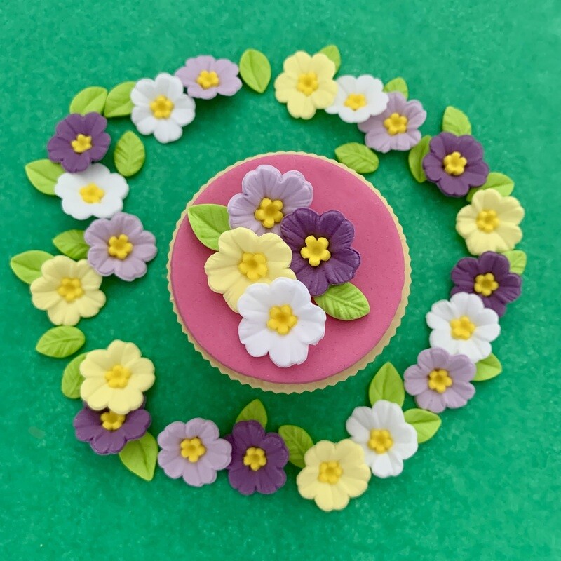 Spring Primroses