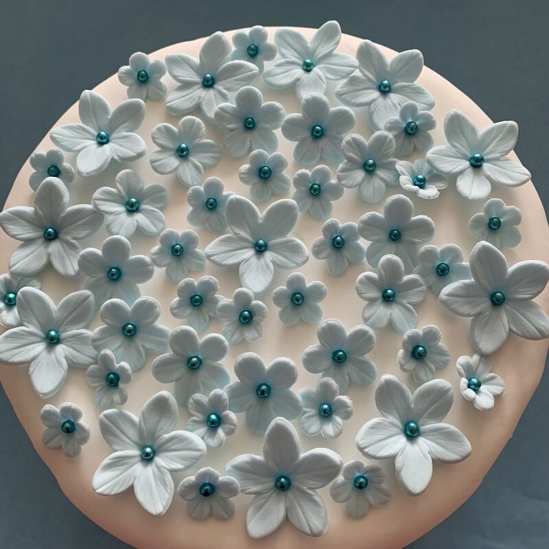 Pale Blue Flowers