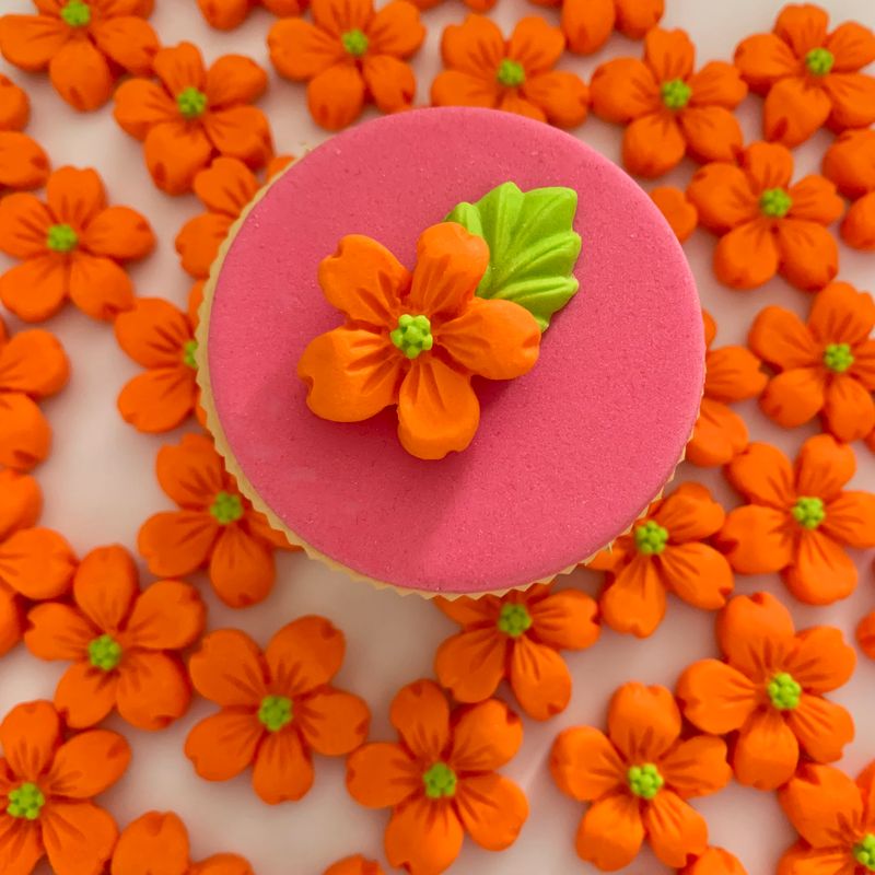 Orange Gem Flowers