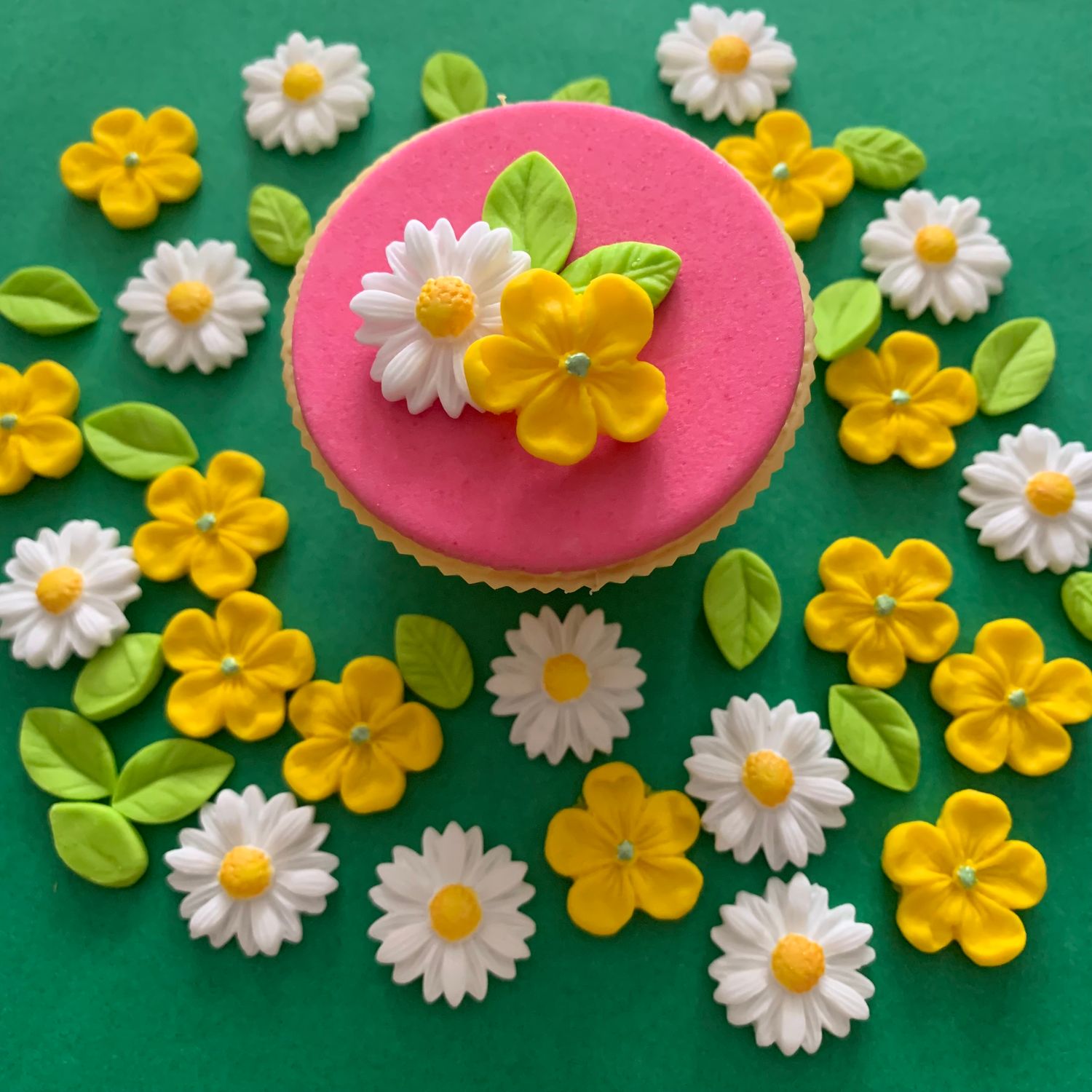 Buttercup Daisies