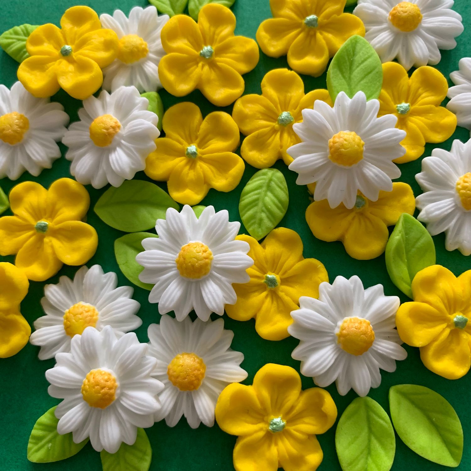 Buttercup Daisies