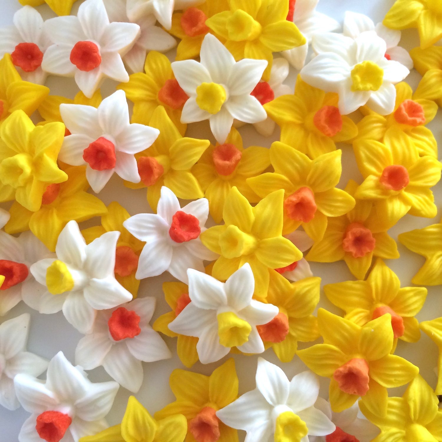 Mixed Daffodils