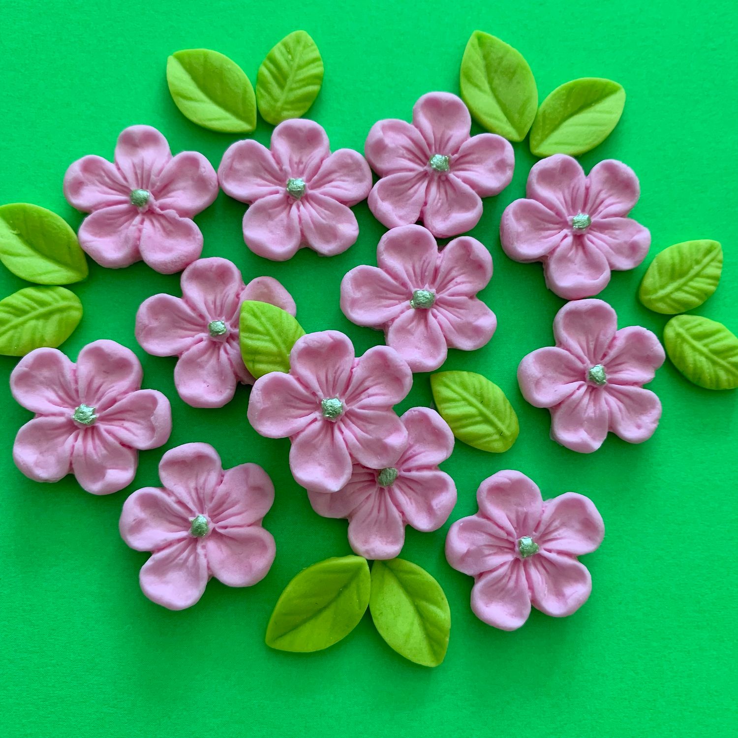 Candy Pink Blossoms