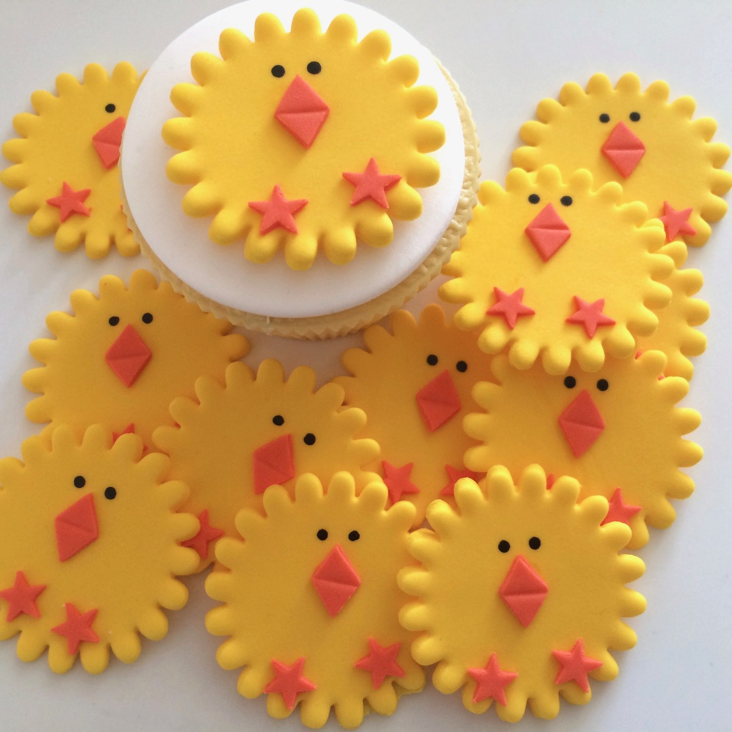 12 Round Chicks
