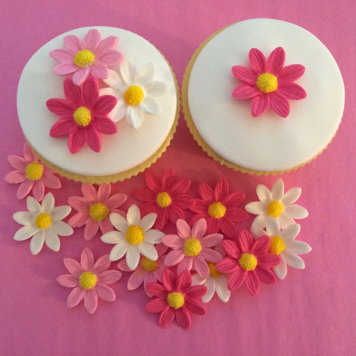 Pink White Sugar Daisies