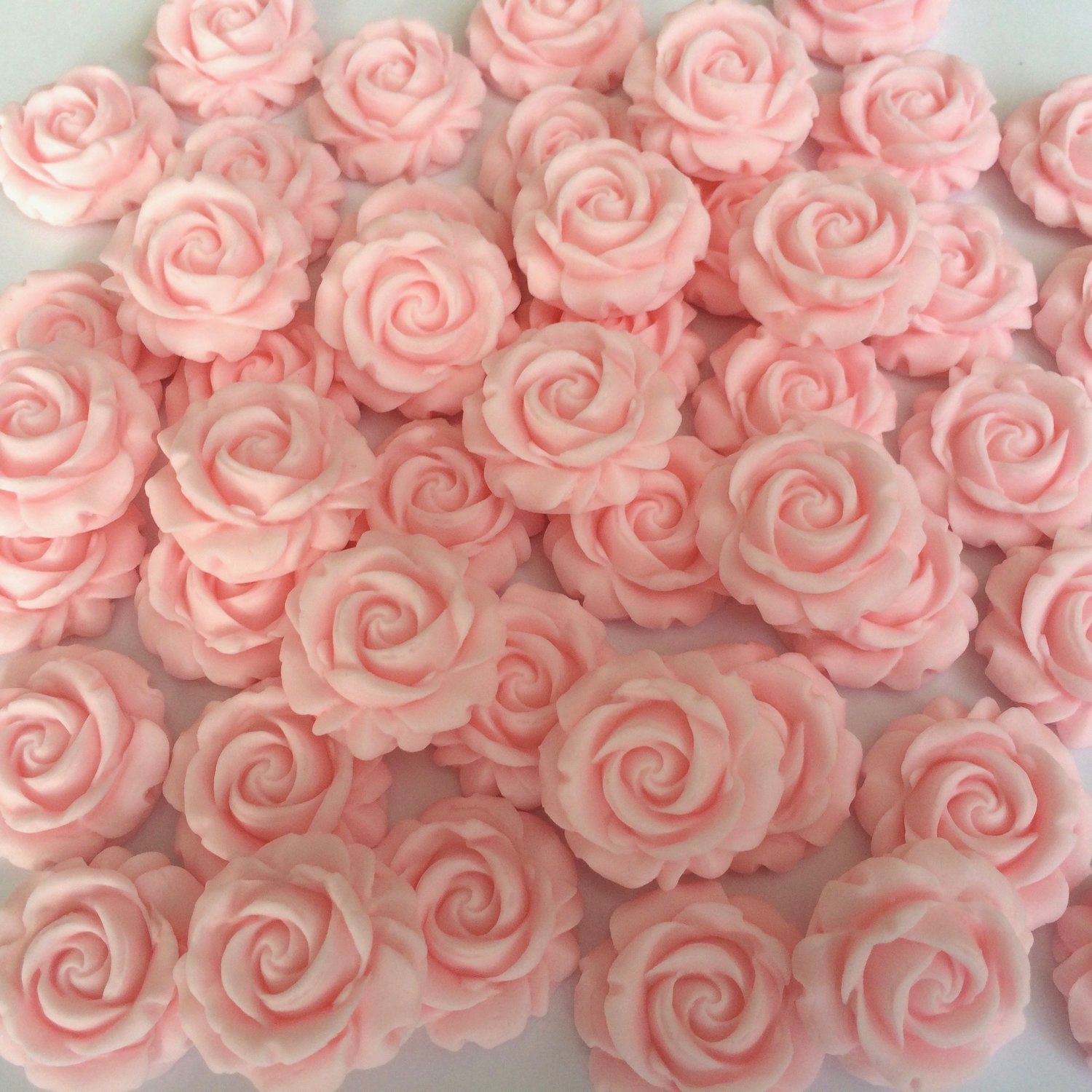 Pink Blush Roses