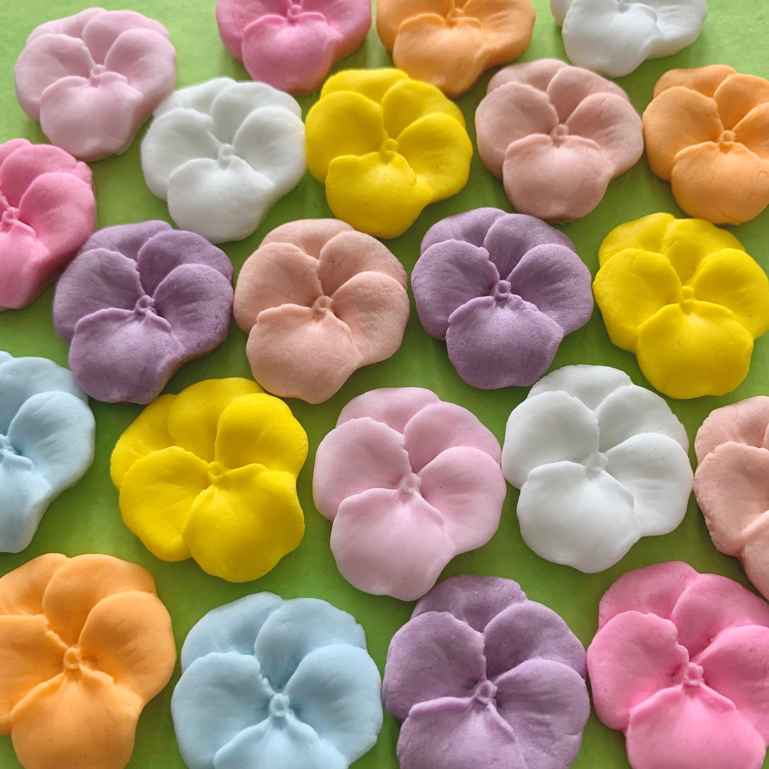 25 Naked Viola Pansy Flowers