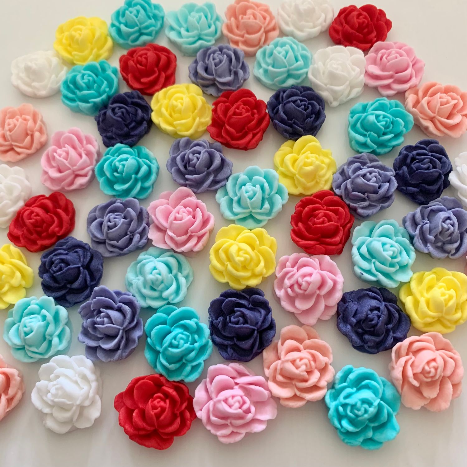 25 Mini Roses