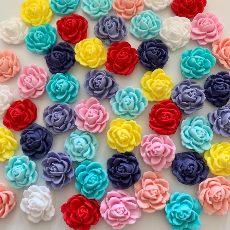 25 Mini Roses