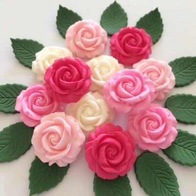 Pink Cream Roses