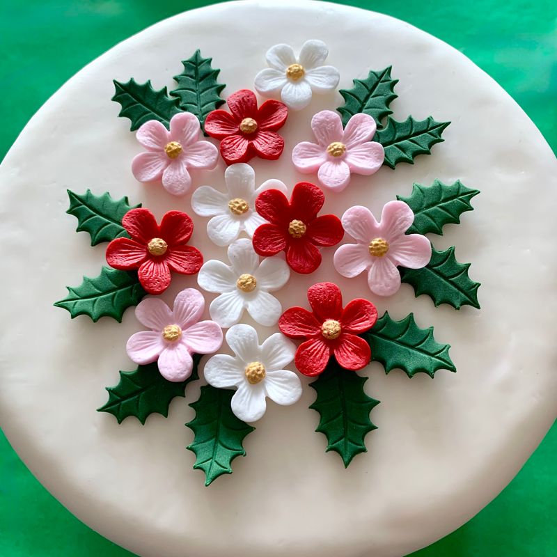 Christmas Flowers