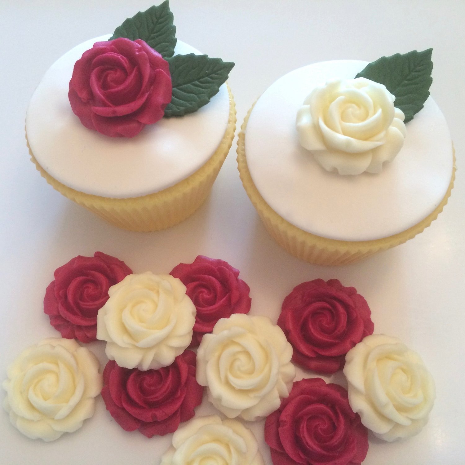 Ruby Cream Roses