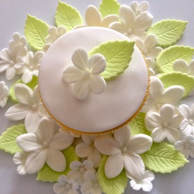 Cream Flowers